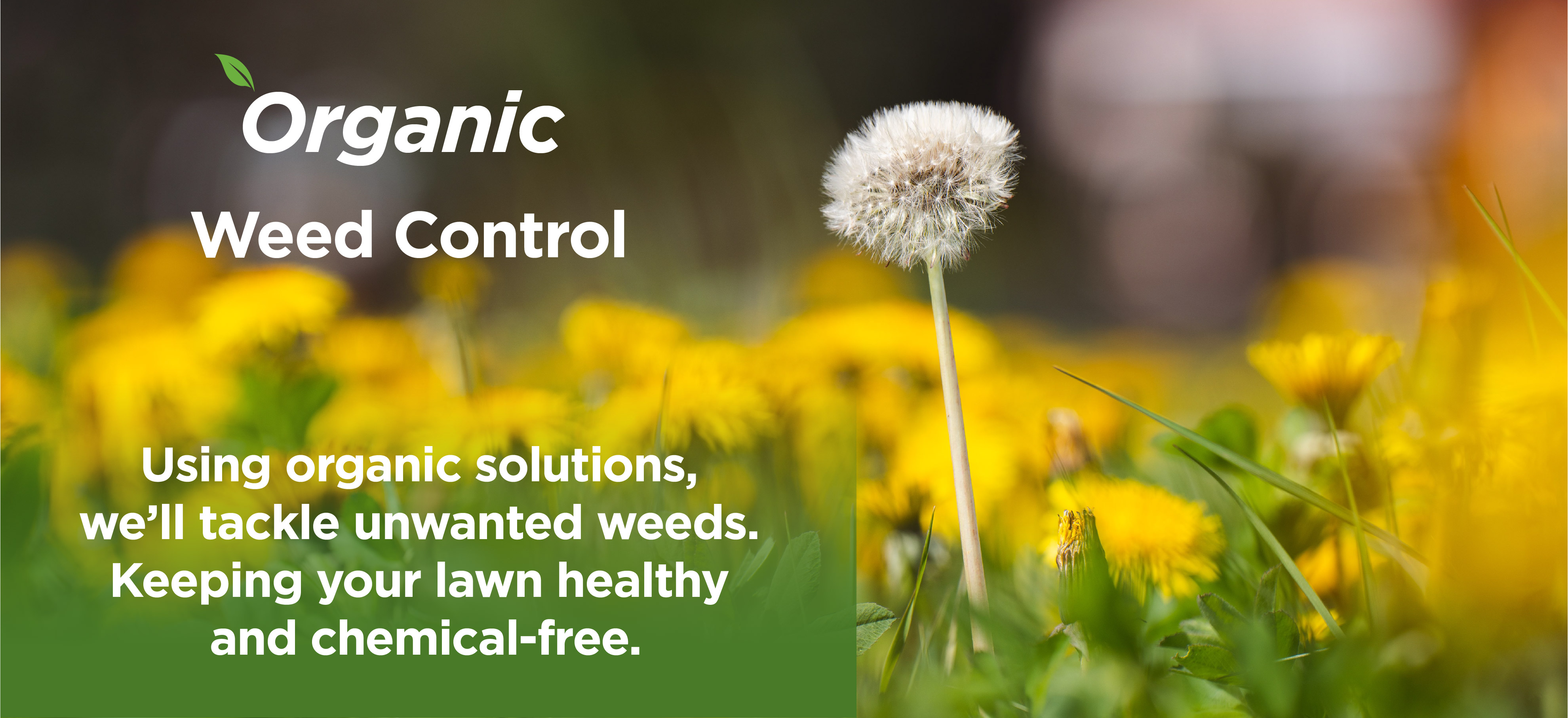 organic herbicide 