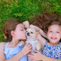 Two girls laying in the grass with a dog