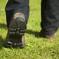 Lawn tech walking on disease-free lawn