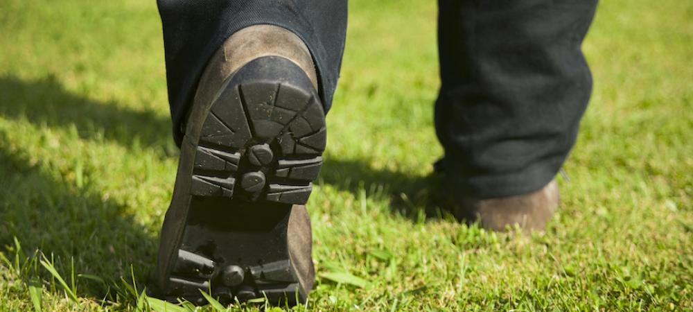Lawn tech walking on disease-free lawn